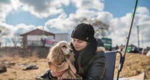 Is Anastasia Knight Dead?