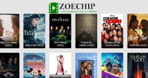 What Happened to Zoechip?