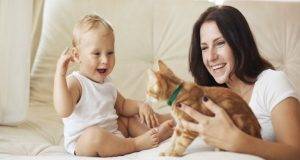 4 Tips to Help Your Cat Safely Navigate Through the Holiday Season