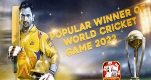 World Cup 2022 Attendance and Results by Hobigames