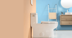 Maintenance Tips for Keeping Your Comfort Height Elongated Toilet in Top Condition