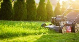 Maximizing Your Yard with Turf: The Benefits