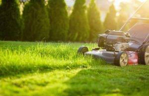 Maximizing Your Yard with Turf: The Benefits Maximizing Your Yard with Turf The Benefits